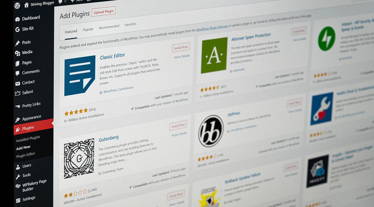 Experienced WordPress Developer