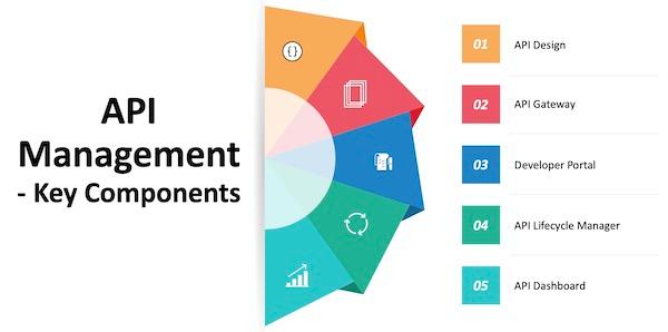 need-your-best-web-development-agency