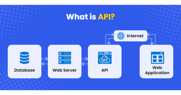 need-your-best-web-development-agency