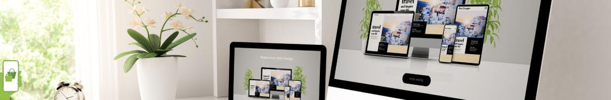 Experienced Shopify Developer