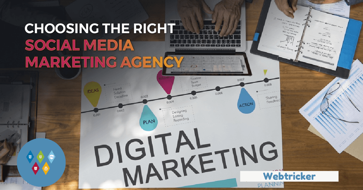 need-your-best-web-development-agency